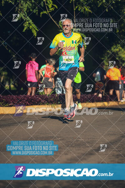 Vale Verde Run 2024