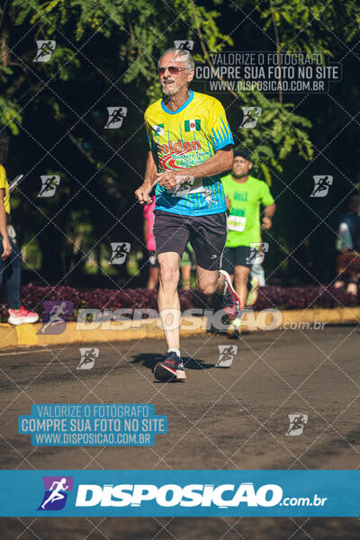 Vale Verde Run 2024