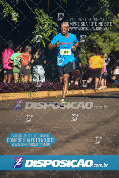 Vale Verde Run 2024