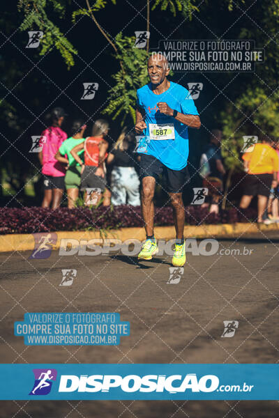 Vale Verde Run 2024