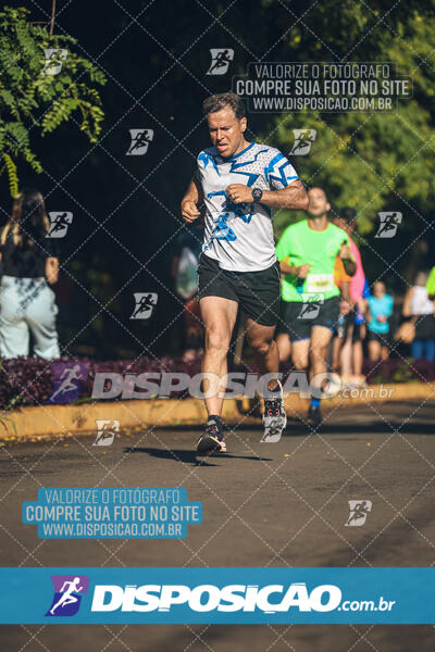 Vale Verde Run 2024