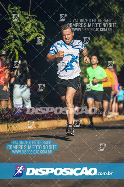 Vale Verde Run 2024