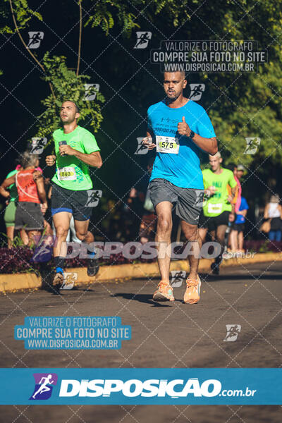 Vale Verde Run 2024