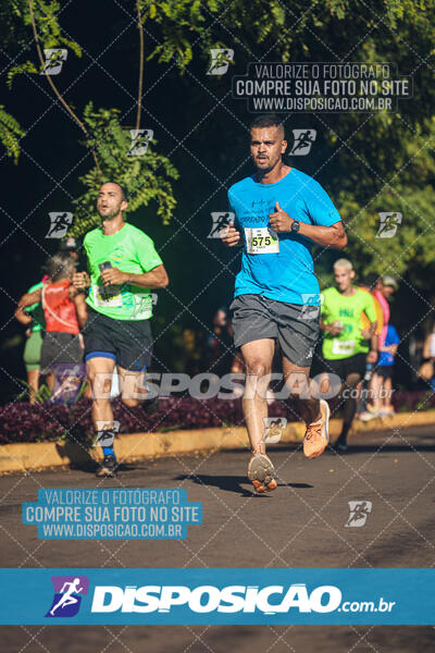 Vale Verde Run 2024