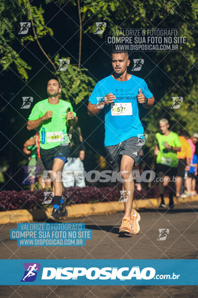 Vale Verde Run 2024