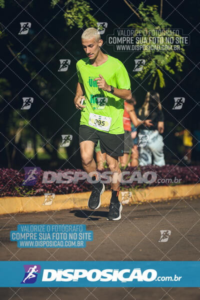 Vale Verde Run 2024