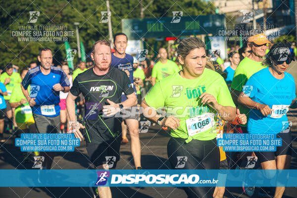 Vale Verde Run 2024