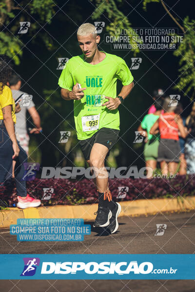 Vale Verde Run 2024