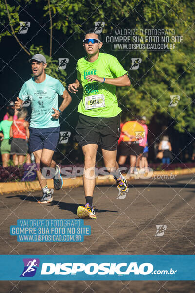 Vale Verde Run 2024