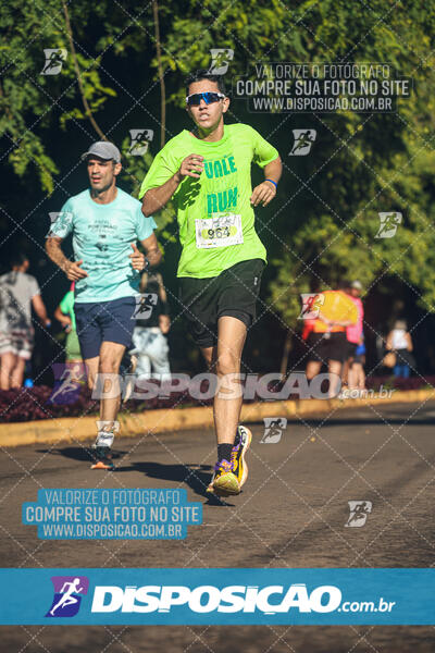 Vale Verde Run 2024