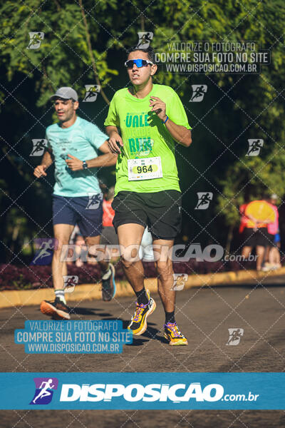 Vale Verde Run 2024