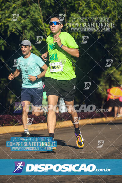 Vale Verde Run 2024