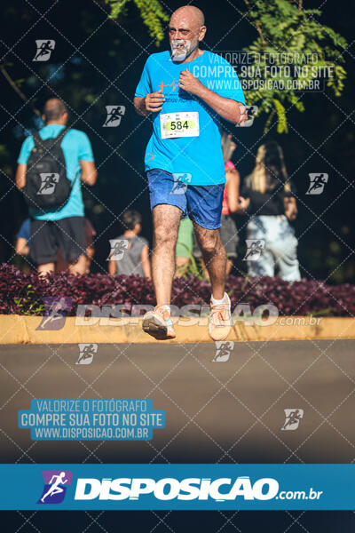 Vale Verde Run 2024