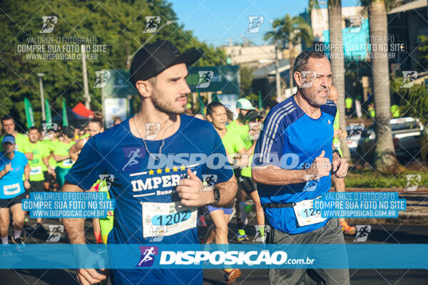 Vale Verde Run 2024