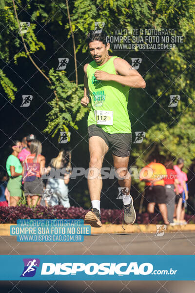 Vale Verde Run 2024