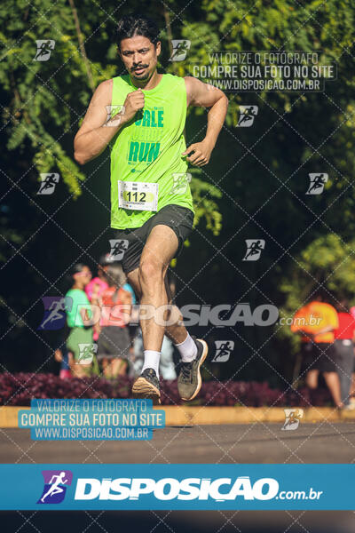 Vale Verde Run 2024