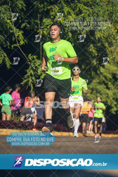 Vale Verde Run 2024