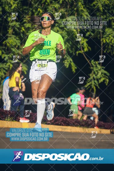 Vale Verde Run 2024