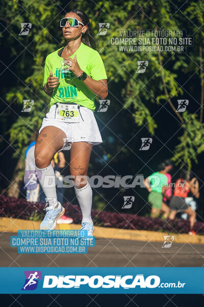 Vale Verde Run 2024