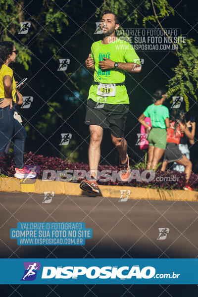 Vale Verde Run 2024