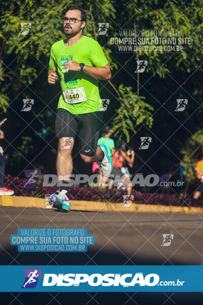 Vale Verde Run 2024