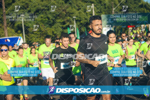 Vale Verde Run 2024