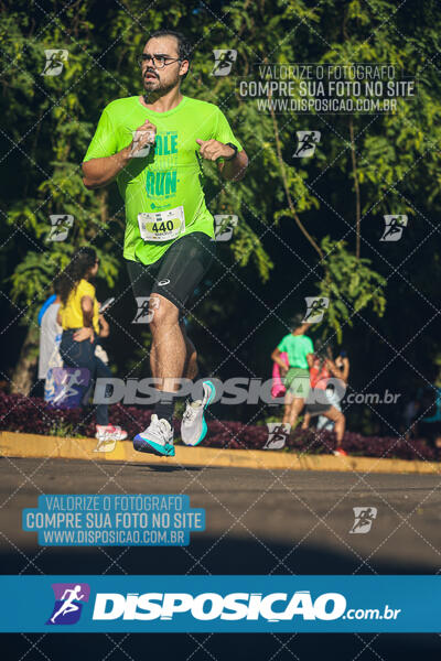 Vale Verde Run 2024