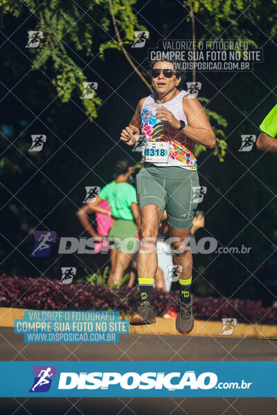 Vale Verde Run 2024