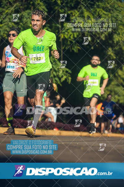 Vale Verde Run 2024