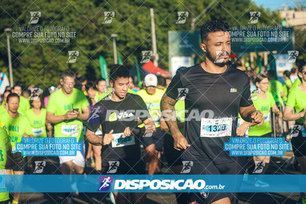 Vale Verde Run 2024