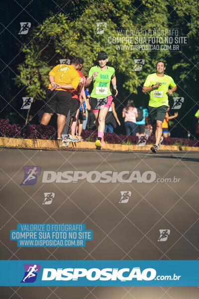 Vale Verde Run 2024