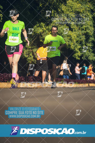 Vale Verde Run 2024