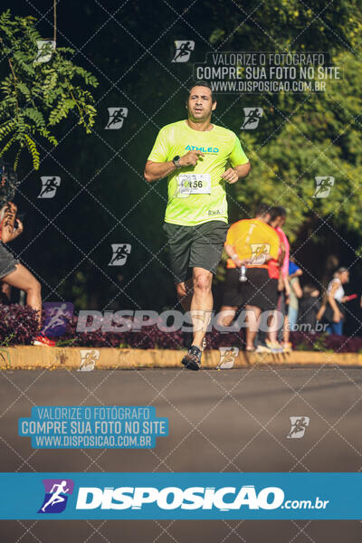 Vale Verde Run 2024