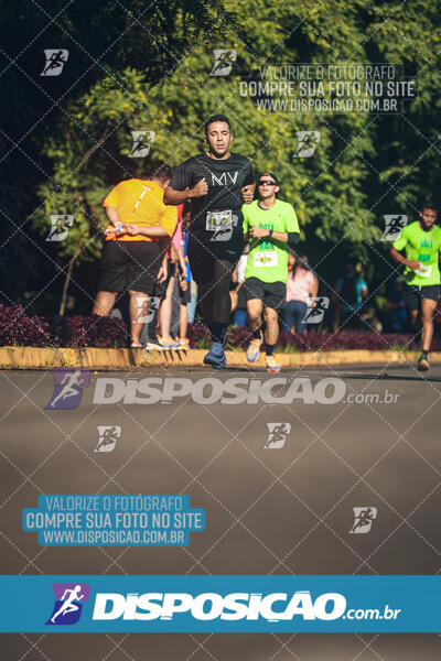 Vale Verde Run 2024