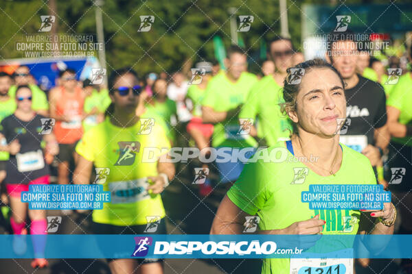 Vale Verde Run 2024