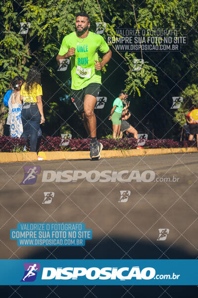 Vale Verde Run 2024