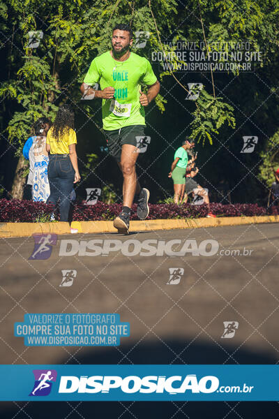 Vale Verde Run 2024