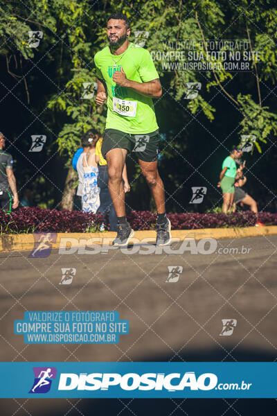 Vale Verde Run 2024