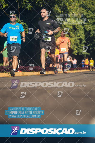 Vale Verde Run 2024