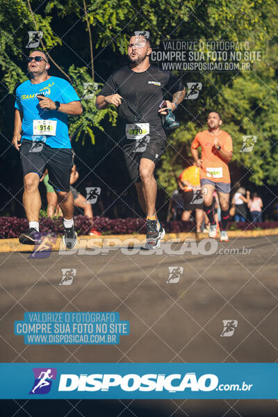 Vale Verde Run 2024