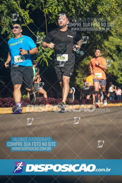 Vale Verde Run 2024