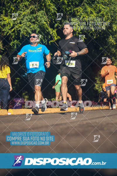 Vale Verde Run 2024