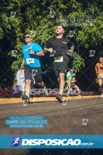 Vale Verde Run 2024