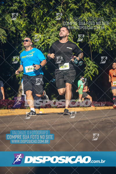 Vale Verde Run 2024