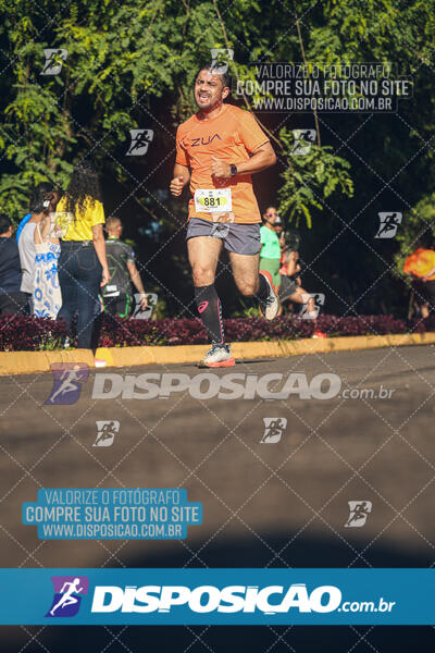 Vale Verde Run 2024