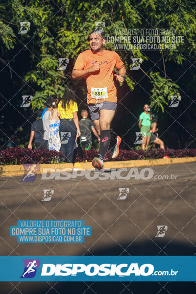 Vale Verde Run 2024