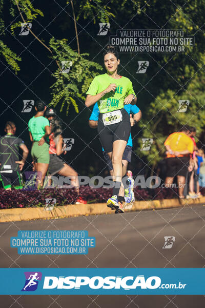 Vale Verde Run 2024