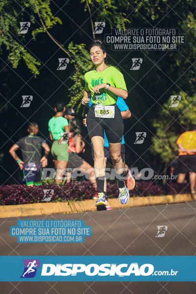 Vale Verde Run 2024