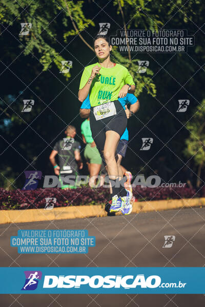 Vale Verde Run 2024