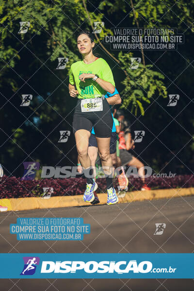 Vale Verde Run 2024